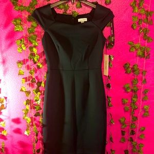 Calvin Klein Sleeveless Sheath– Women’s Casual Dresses with Professional Flair